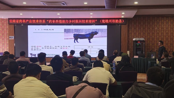 畜牧兽医科技信息：推动畜牧业高质量发展