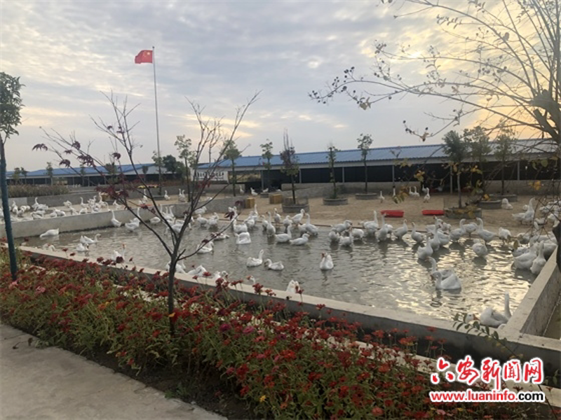 检验检疫技术中心：未来发展方向与挑战