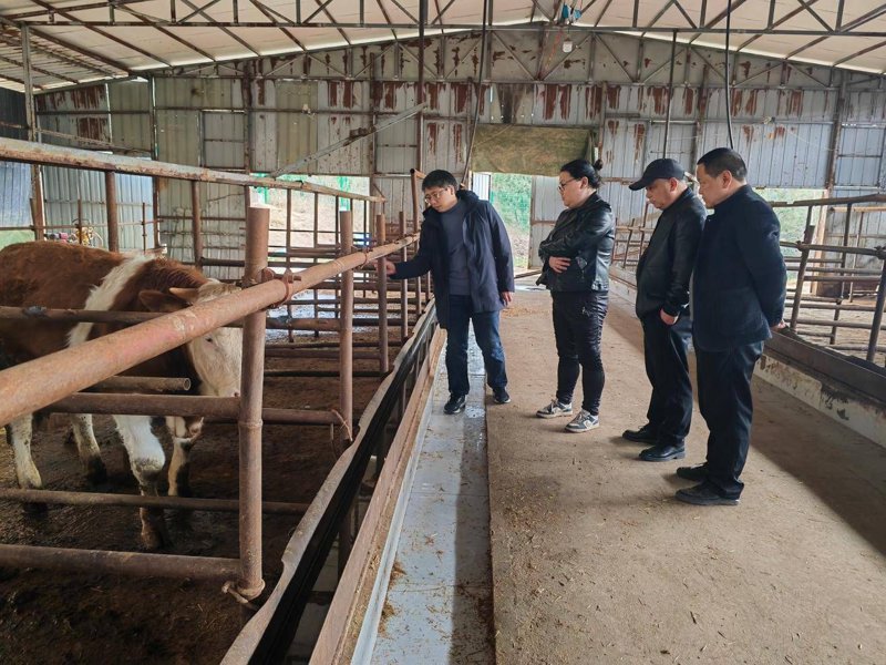黔西市抓实抓细动物疫病防控工作